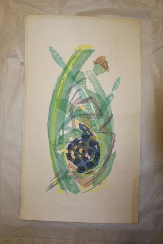 Passionate of the Waterfowl, Takahashi Rikio, 1960