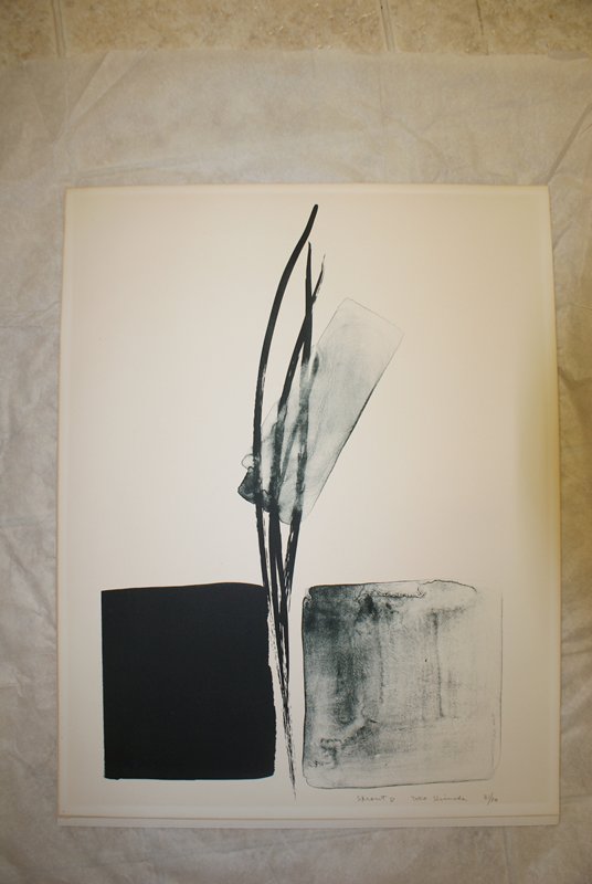Sprout D, Shinoda Tōkō, 1980s