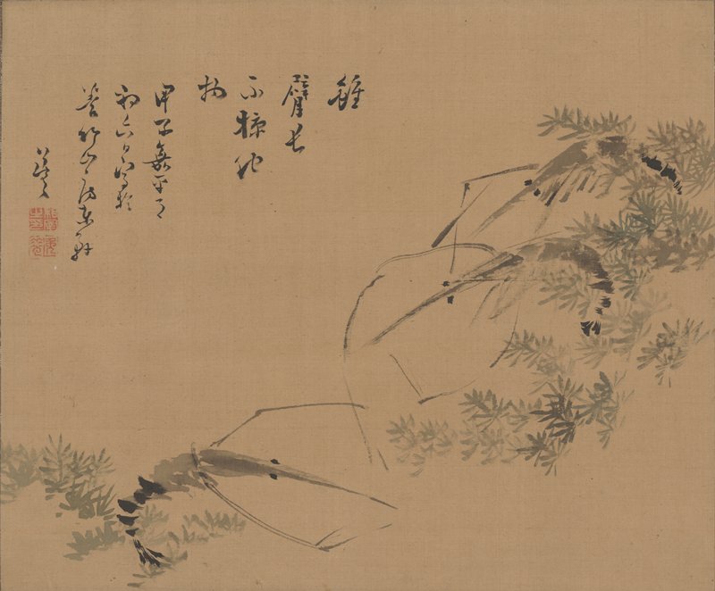 Shrimp, Kinoshita Itsuun, 1864