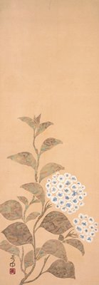 Hydrangea, Nakamura Hōchū, early 19th century