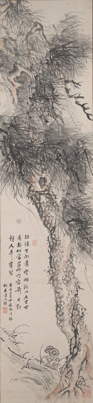 Pine Tree, after Wu Chen, Nagamachi Chikuseki, 1803