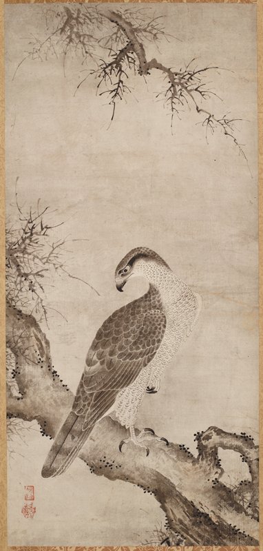 Hawk, Kano Yukinobu, 16th century