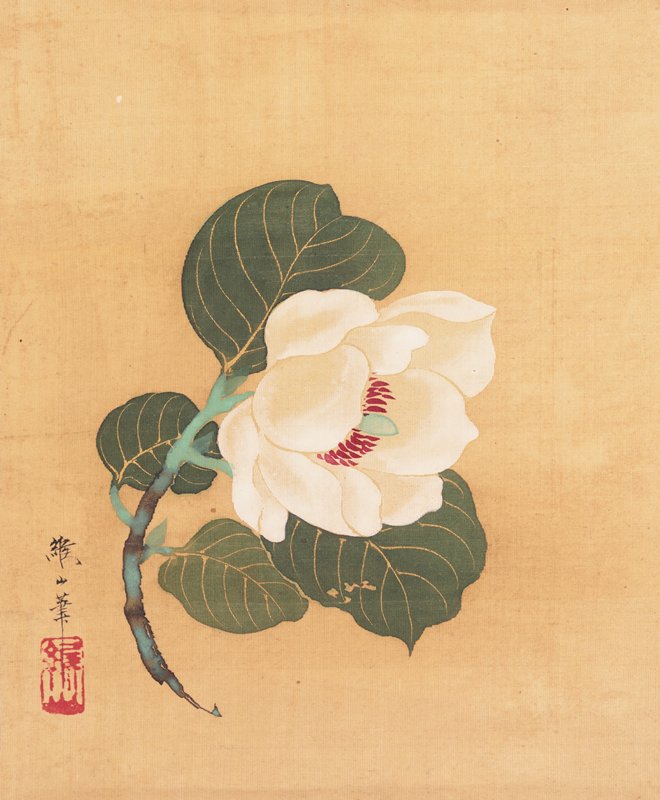 Camellia japonica, Nonoyama Kōzan, first half 19th century