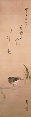 Waterbird and Grass, Sakai Hōitsu, early 19th century