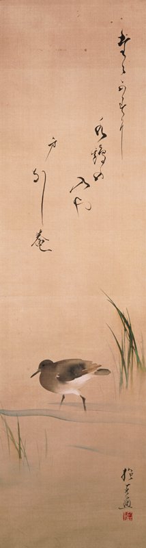 Waterbird and Grass, Sakai Hōitsu, early 19th century
