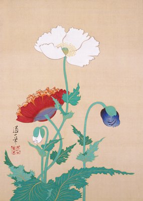 Poppies, Sakai Dōitsu, late 19th–early 20th century