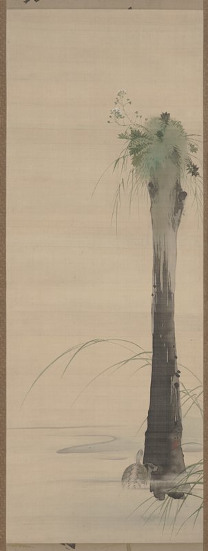 Turtle, Shibata Zeshin, second half 19th century