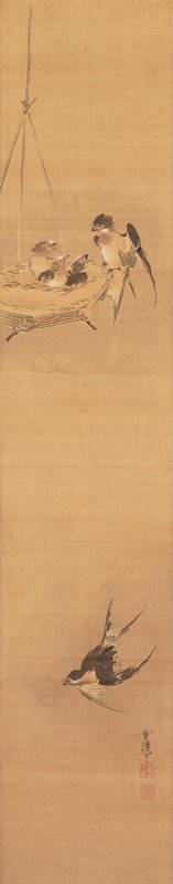 Swallows [right of the pair Rabbit and Swallows], Yamaguchi Sekkei, early 18th century