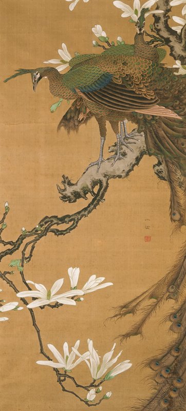 Peacocks Standing on a Blooming Magnolia, Kawada Shōryō, second half 19th century