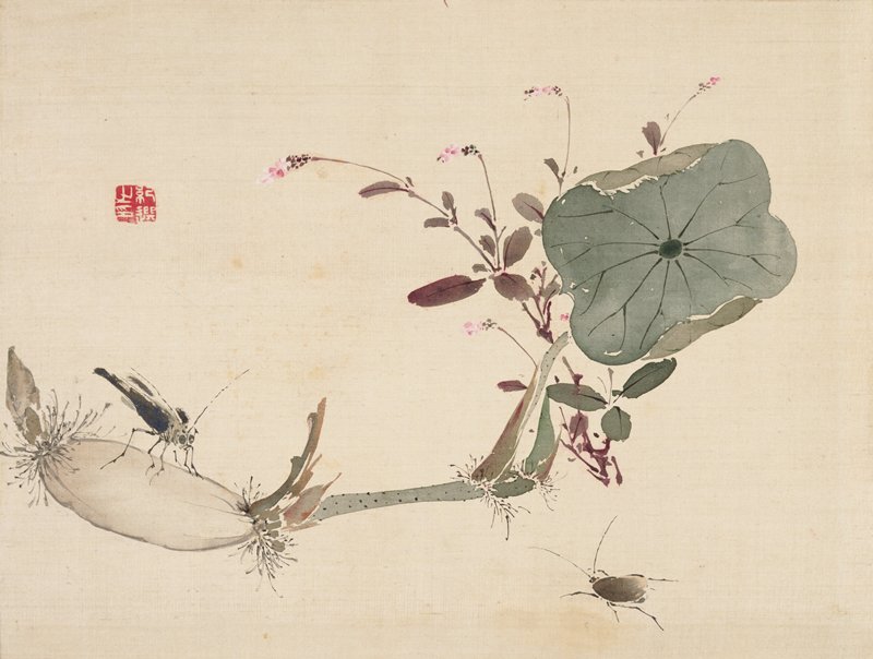 Studies from Nature: Plants, Fish, and Birds (Lotus Tuber with Insects), Urakami Shunkin, first half 19th century