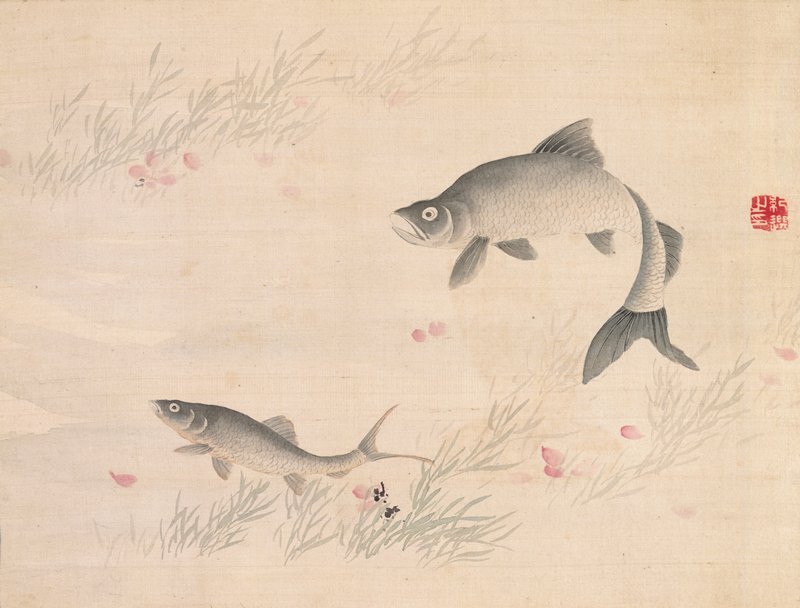 Studies from Nature: Plants, Fish, and Birds (Cherry Blossoms with Fish), Urakami Shunkin, first half 19th century