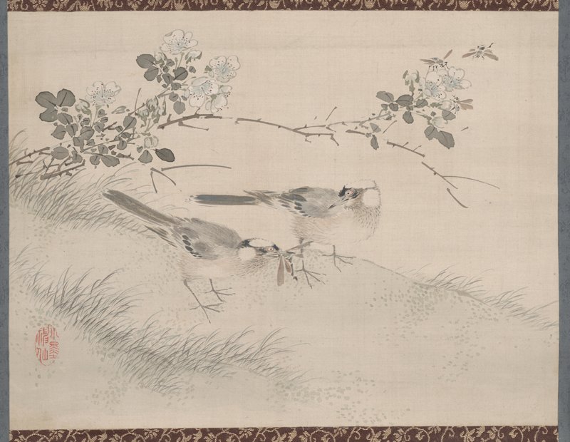 Studies from Nature: Plants, Fish, and Birds (Birds and Roses), Urakami Shunkin, first half 19th century