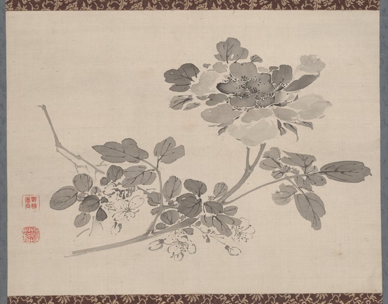 Studies from Nature: Plants, Fish, and Birds (Peony), Urakami Shunkin, first half 19th century