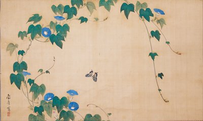 Morning Glory, Watanabe Nangaku, early 19th century