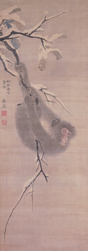 Monkey Hanging from a Branch, Maruyama Ōkyo, Spring 1770