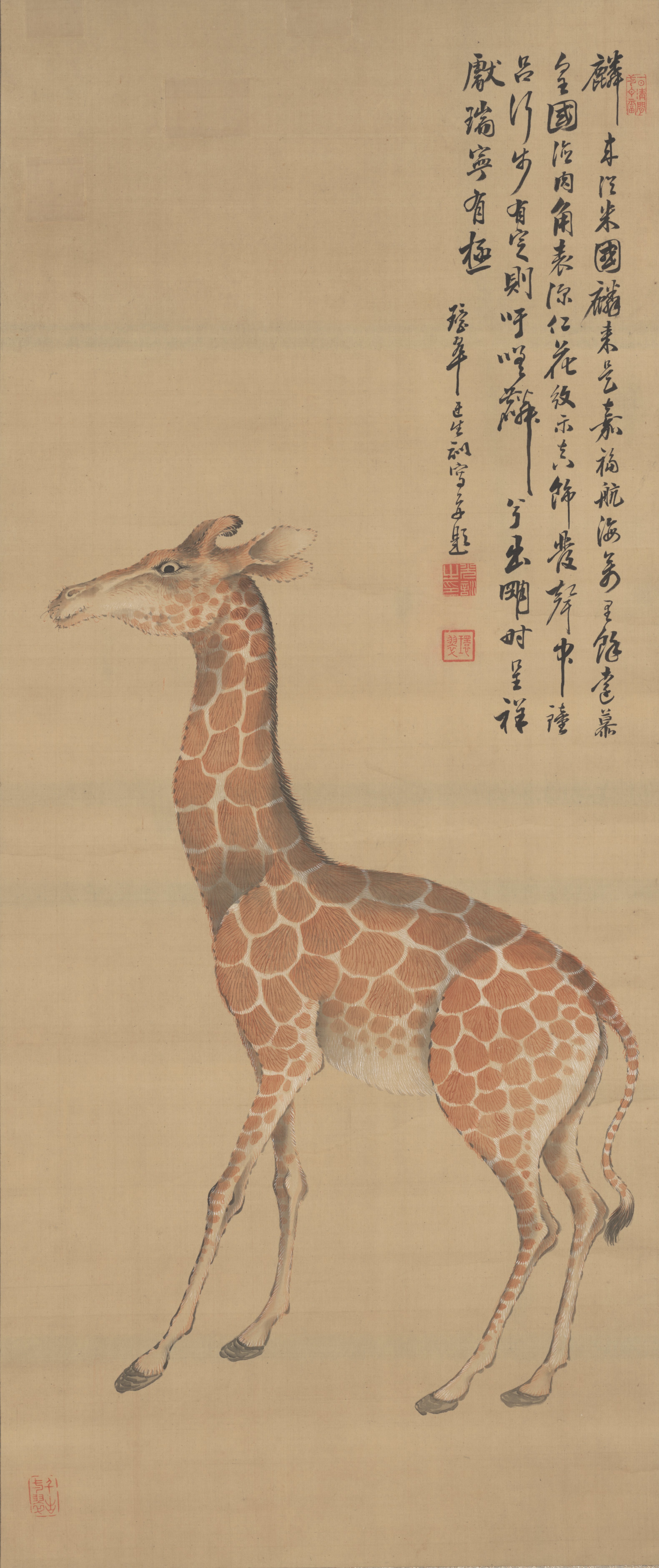 Giraffe, Matsuoka Kansui | Mia