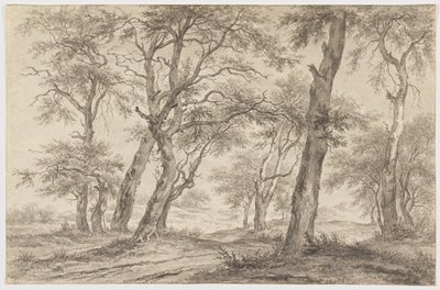 Dokumentasi “Landscape with Trees near Hillegom”; Black chalk, brush and gray wash, on laid paper. Minneapolis Institute of Art.