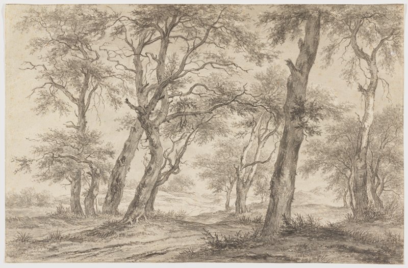 Landscape with Trees near Hillegom, Egbert van Drielst, c. 1800