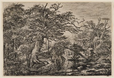 Dokumentasi “A Forest Marsh with Travelers on a Bank”; Etching and drypoint. Minneapolis Institute of Art.