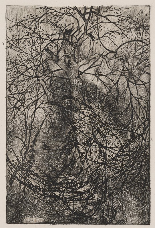 Branches, Rodolphe Bresdin, c. 1880
