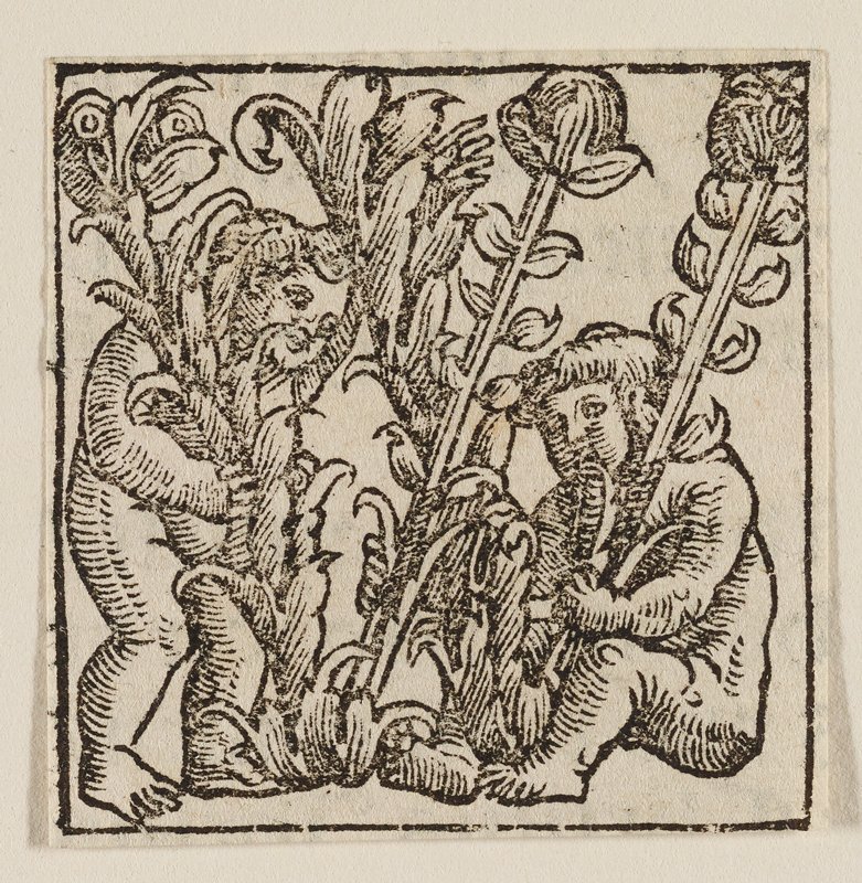 Ornamental Initial W, Georg Lemberger, early 16th century
