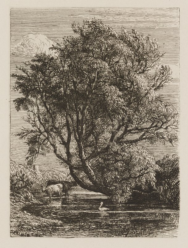 The Willow, Samuel Palmer, 1850