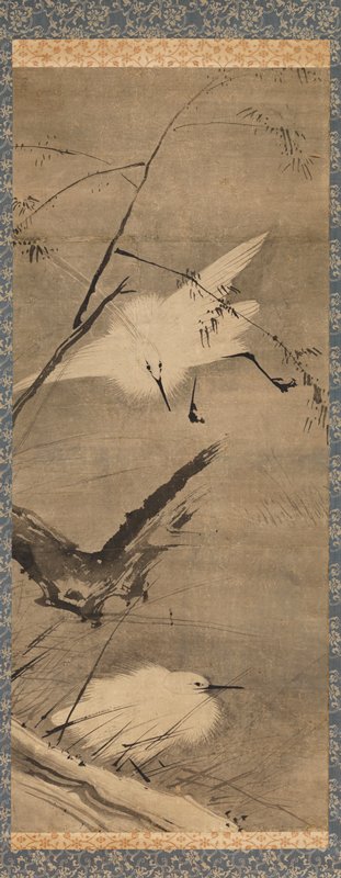 Herons, 17th century