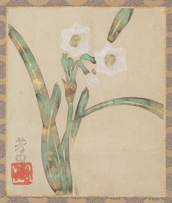 Narcissus, Nakamura Hōchū, 18th–19th century