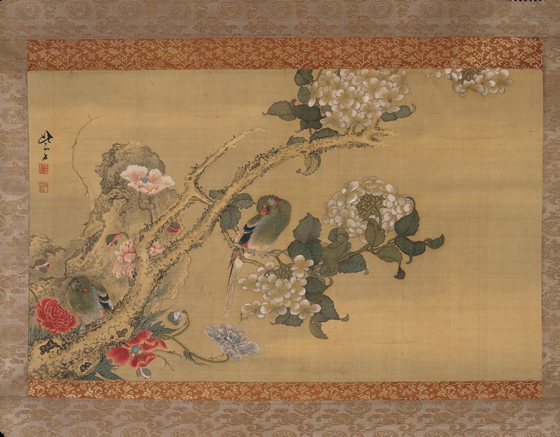 Parakeets among Hydrangeas and Poppies, Sō Shiseki, after 1770
