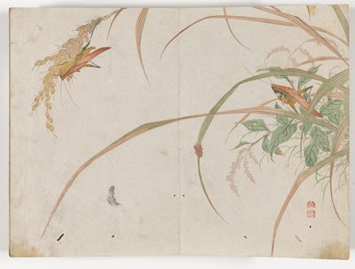 Dokumentasi “Selected Insects from Close at Hand (Chūka senzen)”; Woodblock printed book, ink and color on paper. Minneapolis Institute of Art.