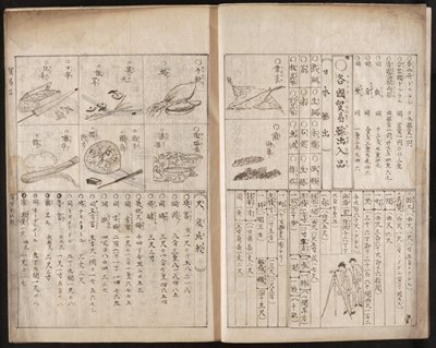 Dokumentasi “Draft of New Guide to the Ways of the West (Tsūzoku nichijō Seiyō shohō shinsho sōkō)”; Woodblock printed book, ink on paper. Minneapolis Institute of Art.