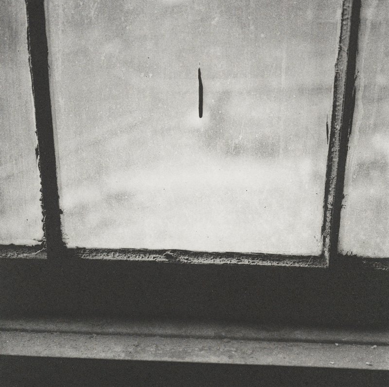 Untitled, Keith Taylor, 2011