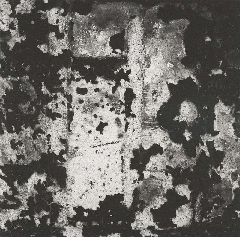 Untitled, Keith Taylor, 2011