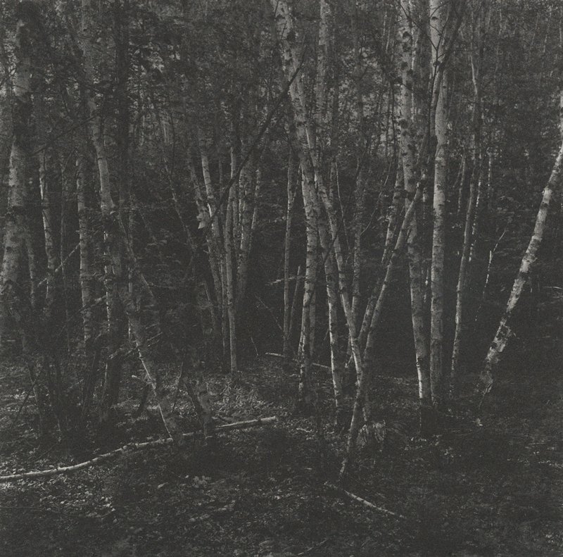 Untitled, Keith Taylor, 2011