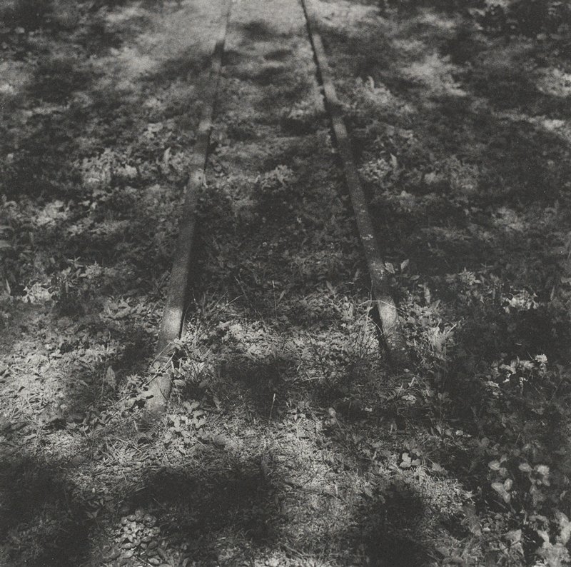 Untitled, Keith Taylor, 2011