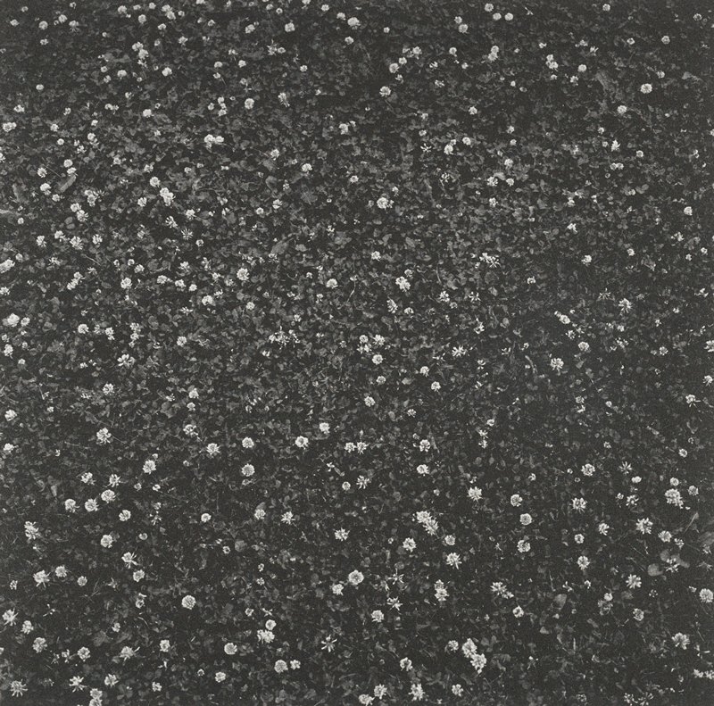 Untitled, Keith Taylor, 2011