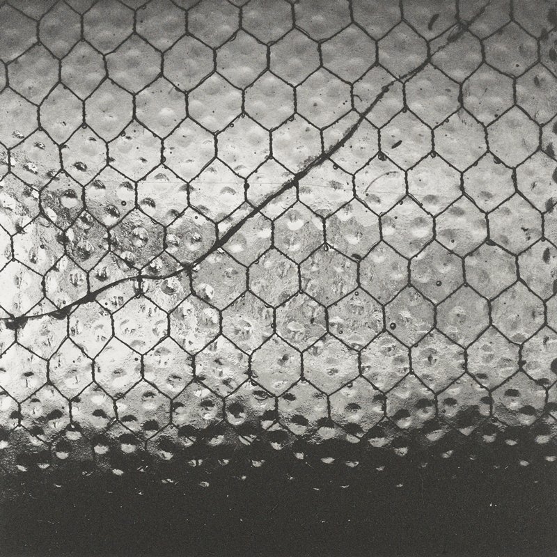 Untitled, Keith Taylor, 2011