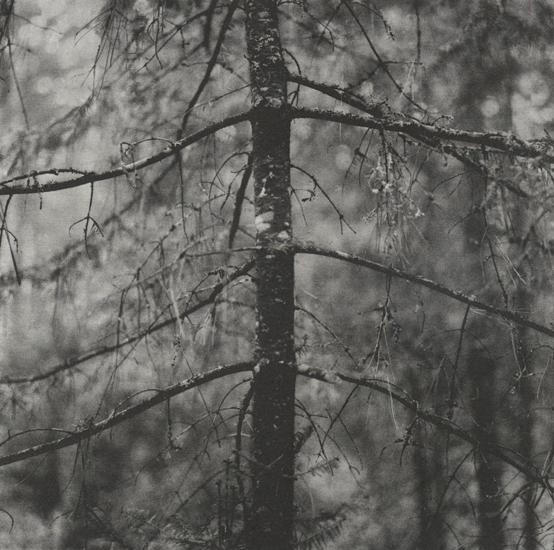 Untitled, Plate 18 from Dark Matter, Keith Taylor, 2011