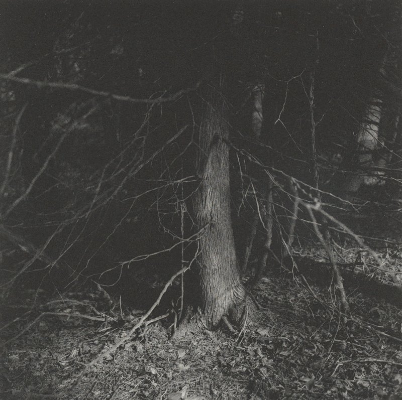 Untitled, Keith Taylor, 2011