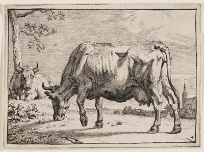 Dokumentasi “The Grazing Cow”; Etching. Minneapolis Institute of Art.