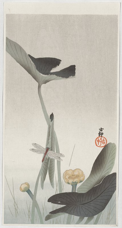 Dragonfly and Lotus, Ohara Shōson, 1920s