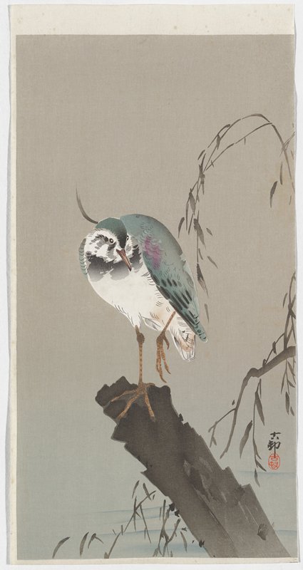 Lapwing on Tree Stump, Ohara Shōson, 1920s