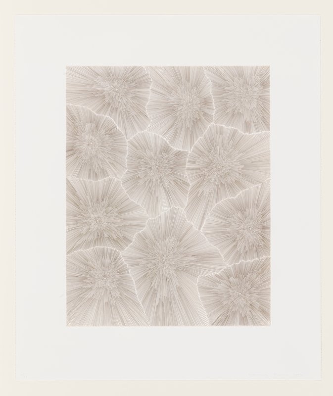 Upside Down Devil Variation, James Siena, 2004