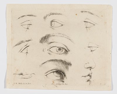 Dokumentasi “Anggota kelompok terkait: Seven studies of eyes, a study of a mouth, and a profile, plate 2 from I principii del disegno (The Principles of Design) (2016.62.2)”. Minneapolis Institute of Art.
