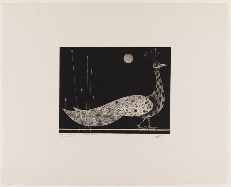 Peacock, Mario Avati, 1959