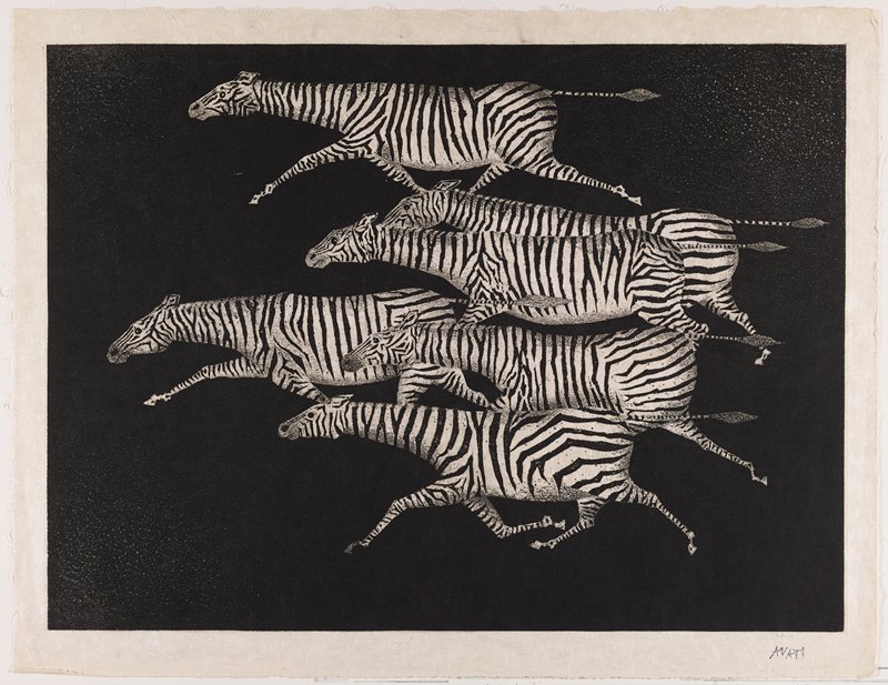 Six Running Zebras, Mario Avati, 1957
