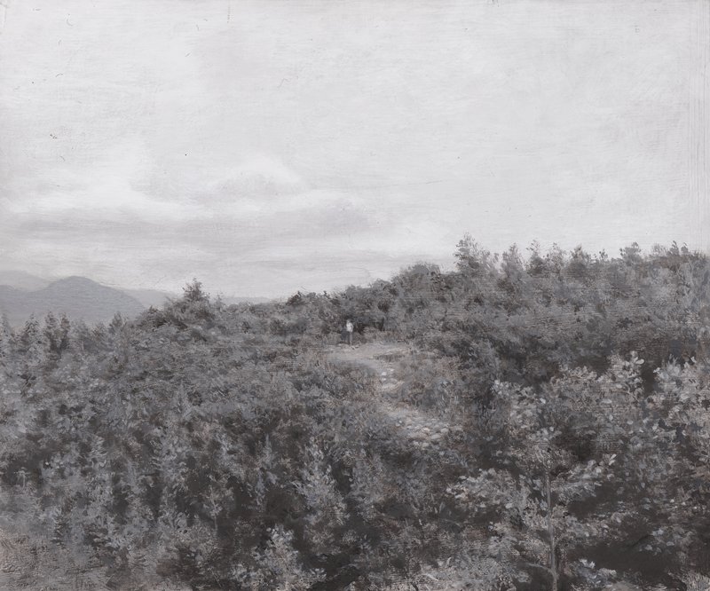 Mom/Mountain, Tim Lowly, 2001