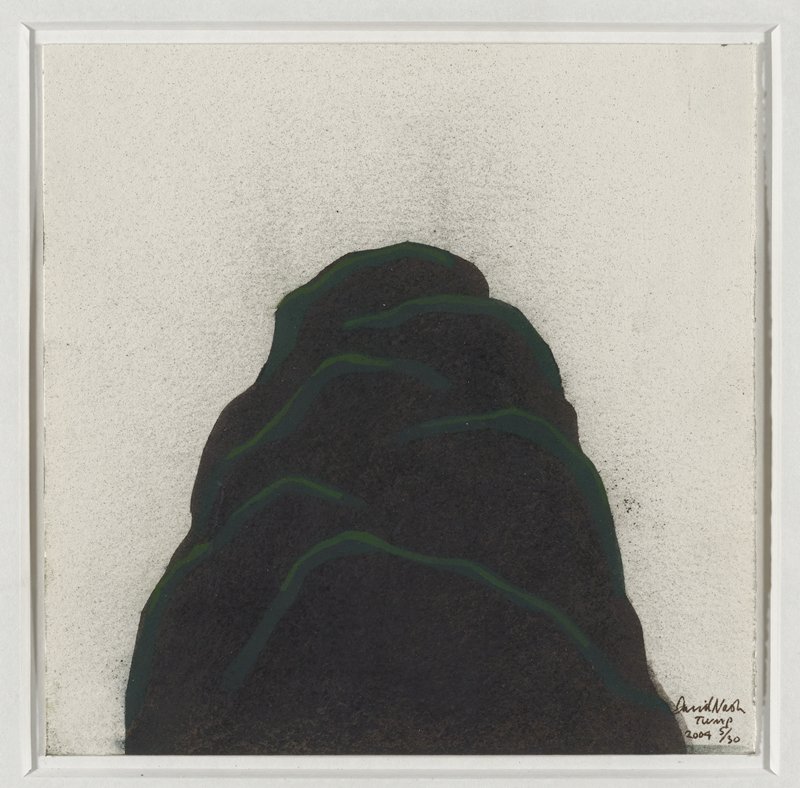 Twmp, David Nash, 2004