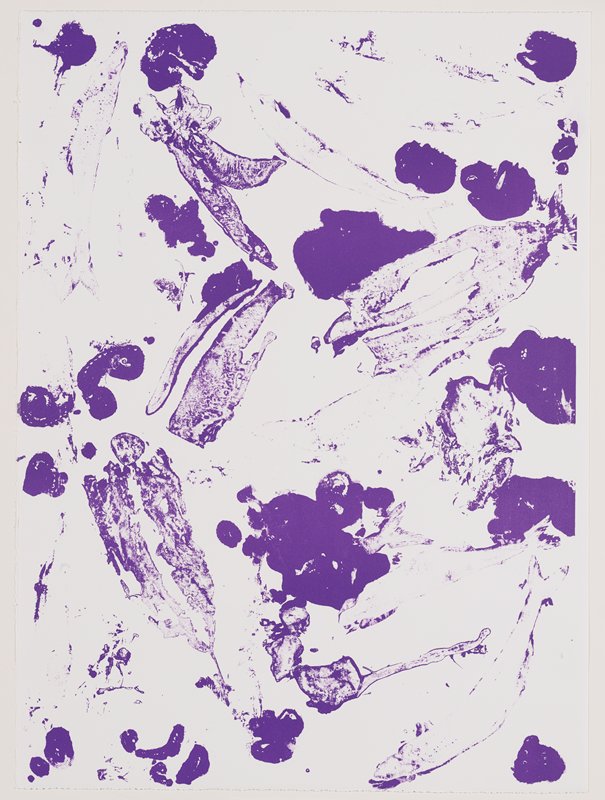 Без названия, plate 10 from Spirale Blanche, Джон Армледер, 2008