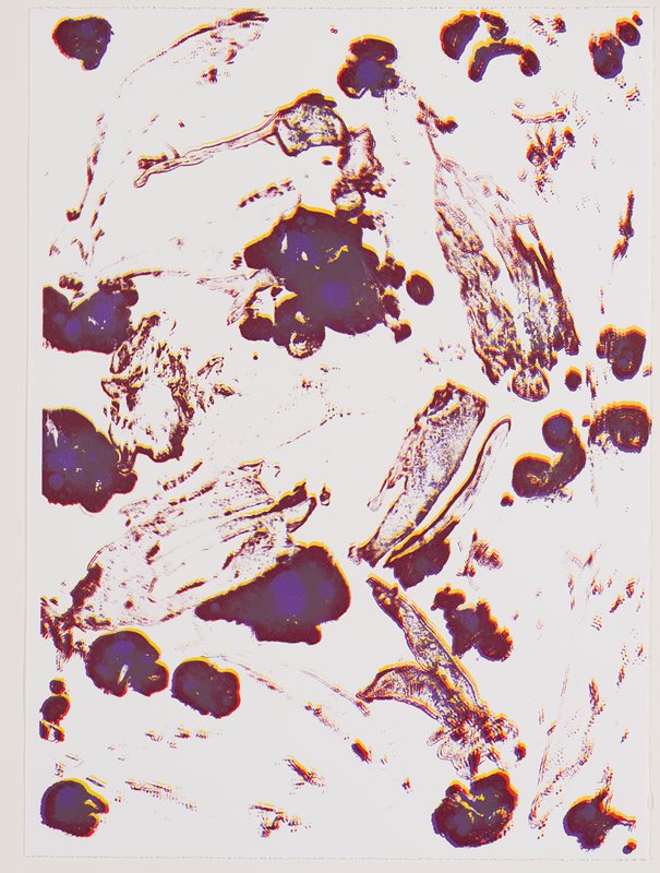 Без названия, plate 3 from Spirale Blanche, Джон Армледер, 2008